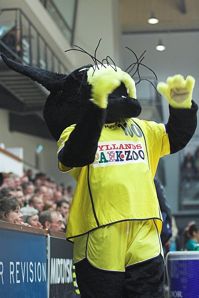 IBEH's mascot, Katsi.